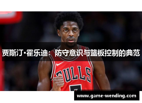 贾斯汀·霍乐迪：防守意识与篮板控制的典范