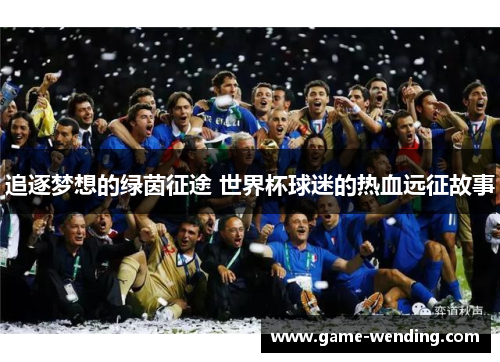 追逐梦想的绿茵征途 世界杯球迷的热血远征故事