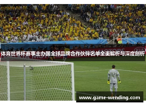 体育世界杯赛事主办国全球品牌合作伙伴名单全面解析与深度剖析
