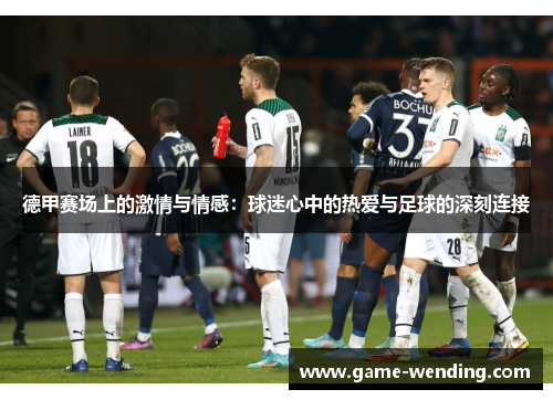 德甲赛场上的激情与情感：球迷心中的热爱与足球的深刻连接