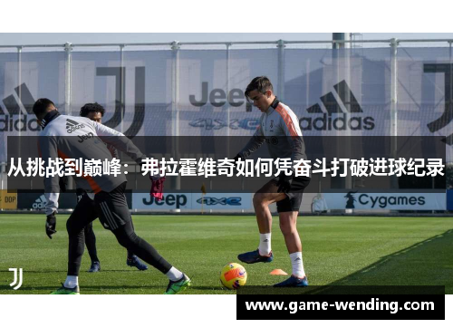 从挑战到巅峰：弗拉霍维奇如何凭奋斗打破进球纪录