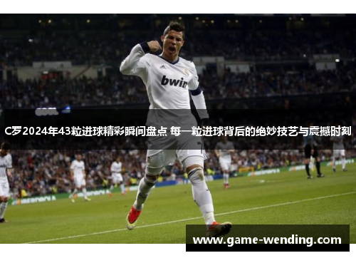 C罗2024年43粒进球精彩瞬间盘点 每一粒进球背后的绝妙技艺与震撼时刻