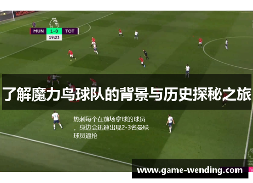 了解魔力鸟球队的背景与历史探秘之旅