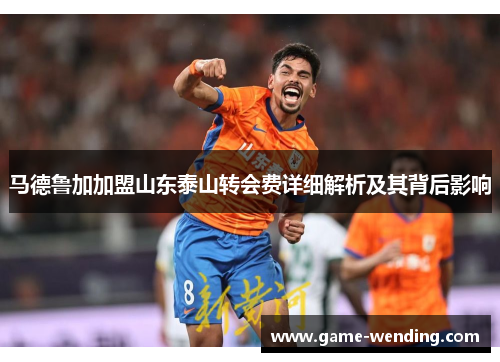 马德鲁加加盟山东泰山转会费详细解析及其背后影响