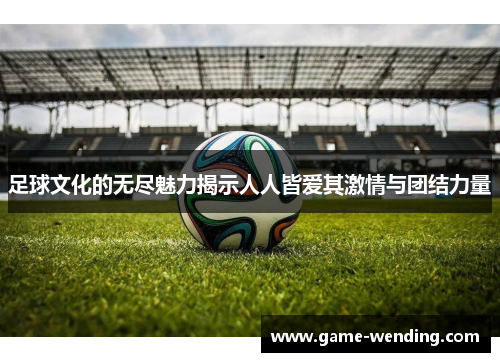 足球文化的无尽魅力揭示人人皆爱其激情与团结力量